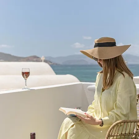Fleria Seaview * Naxos City