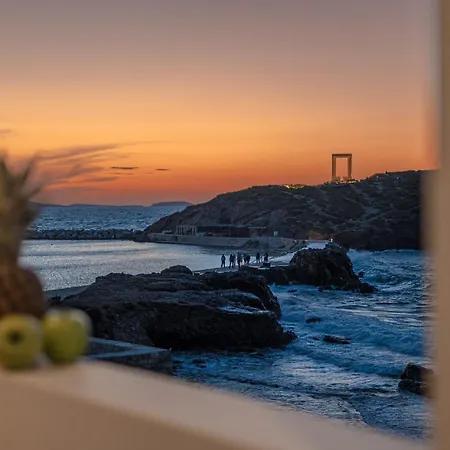 Fleria Seaview Daire Naxos City